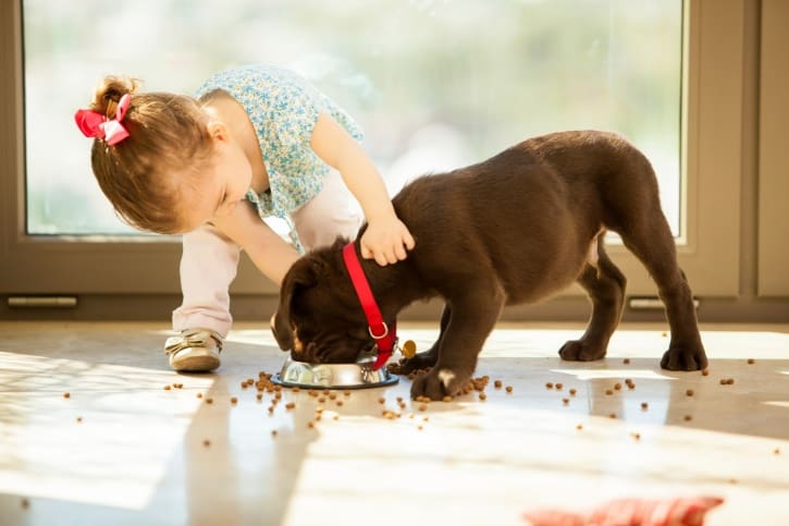 Mouvement de sensibilisation pour les enfants